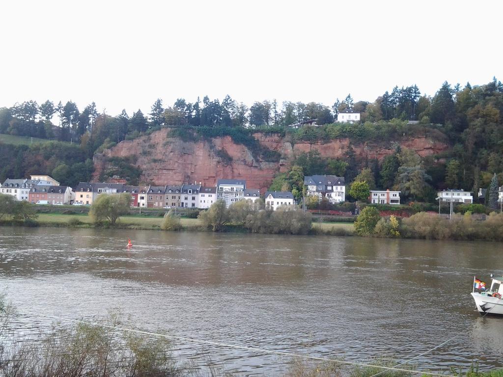 Saar-Mosel-Tal Apartment Konz Ngoại thất bức ảnh
