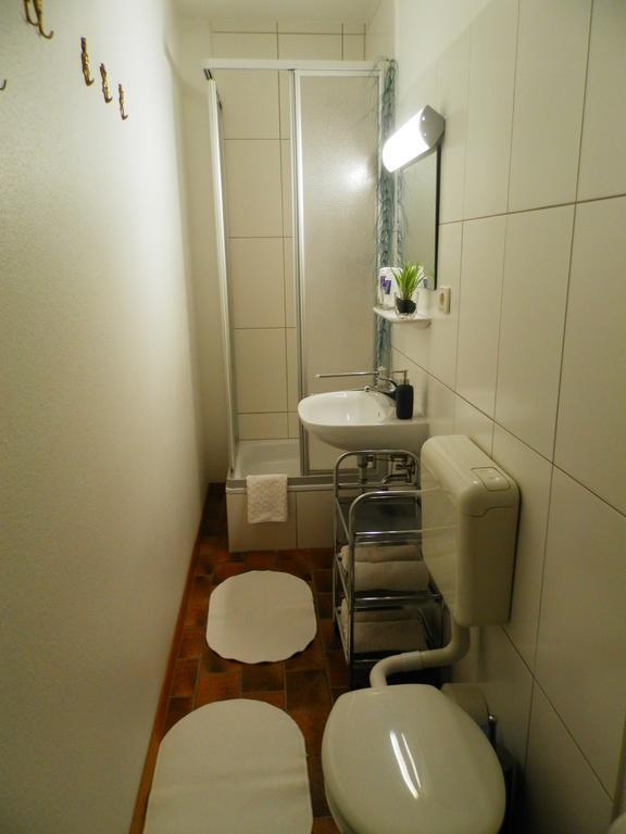 Saar-Mosel-Tal Apartment Konz Ngoại thất bức ảnh
